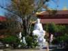 dsc02020_small.jpg