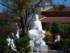 dsc02021_small.jpg