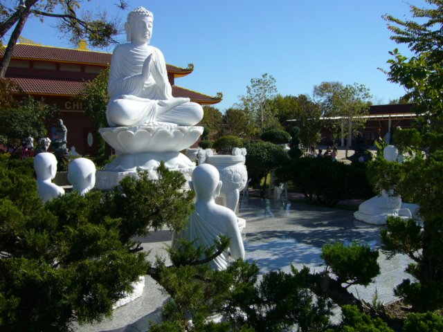 p1060769.jpg