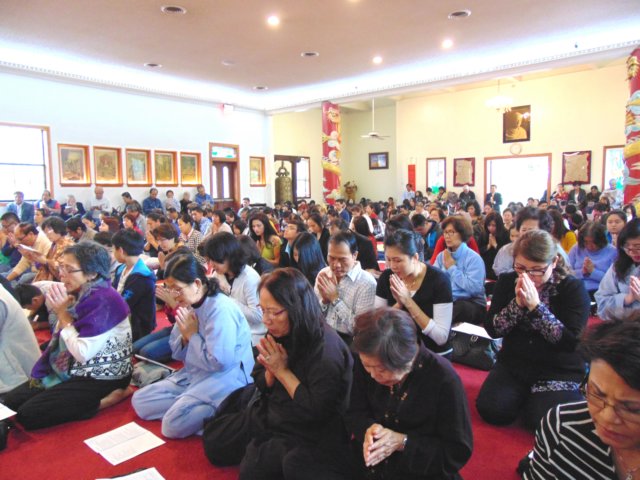 ledangy57.jpg