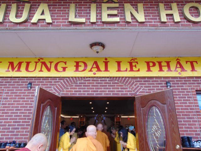 dllephatdan_201535.jpg