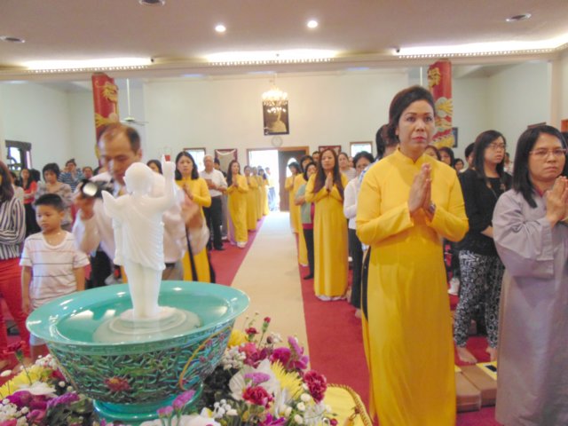 dllephatdan_201537.jpg