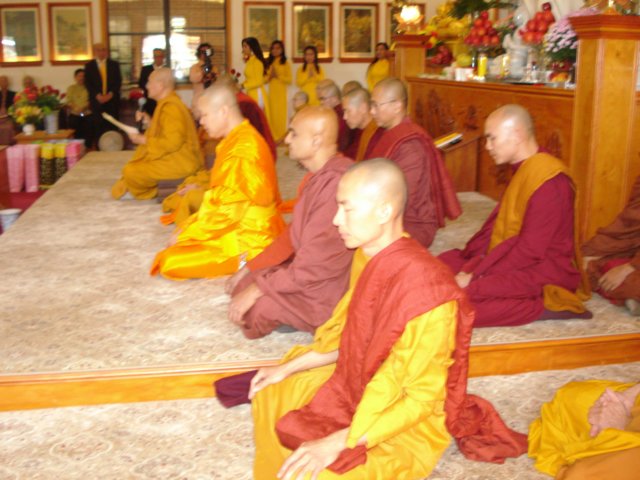 ledangy13.jpg