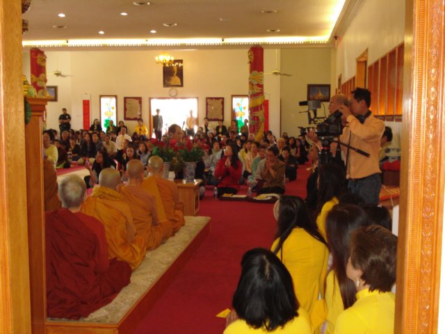 ledangy15.jpg