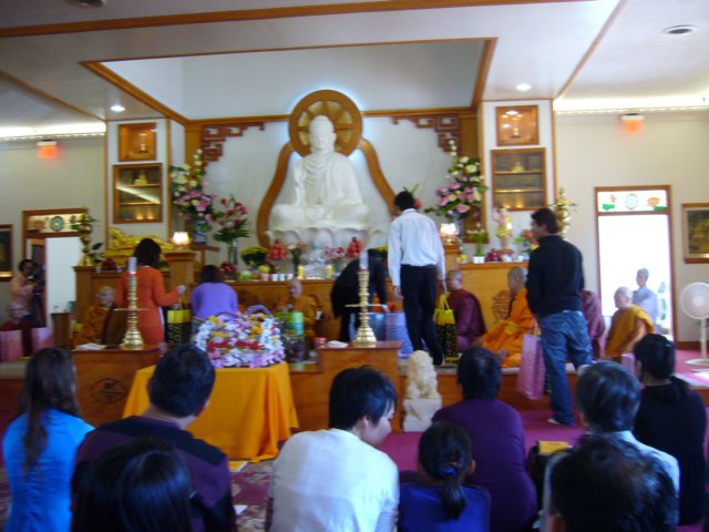 ledangy51.jpg