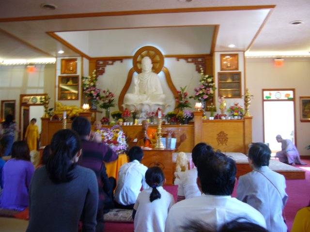 ledangy54.jpg