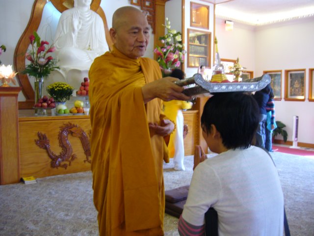 ledangy66.jpg