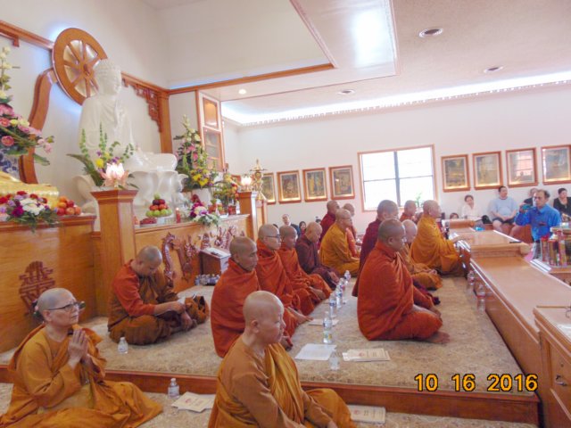 htpnbandaotu10.jpg