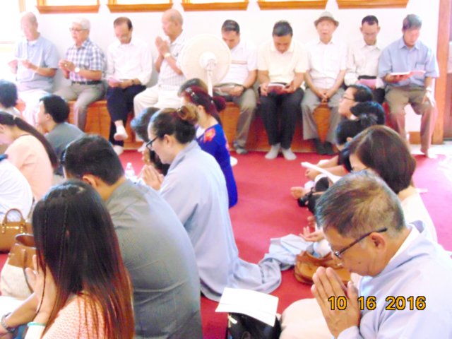 htpnbandaotu23.jpg
