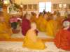 dsc05975_small.jpg