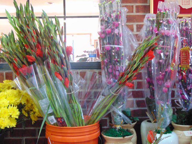 _sinhhoatngaycuoinam2015_5.jpg